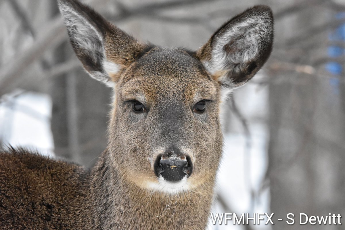 WaterfrontMdaHfx tweet media