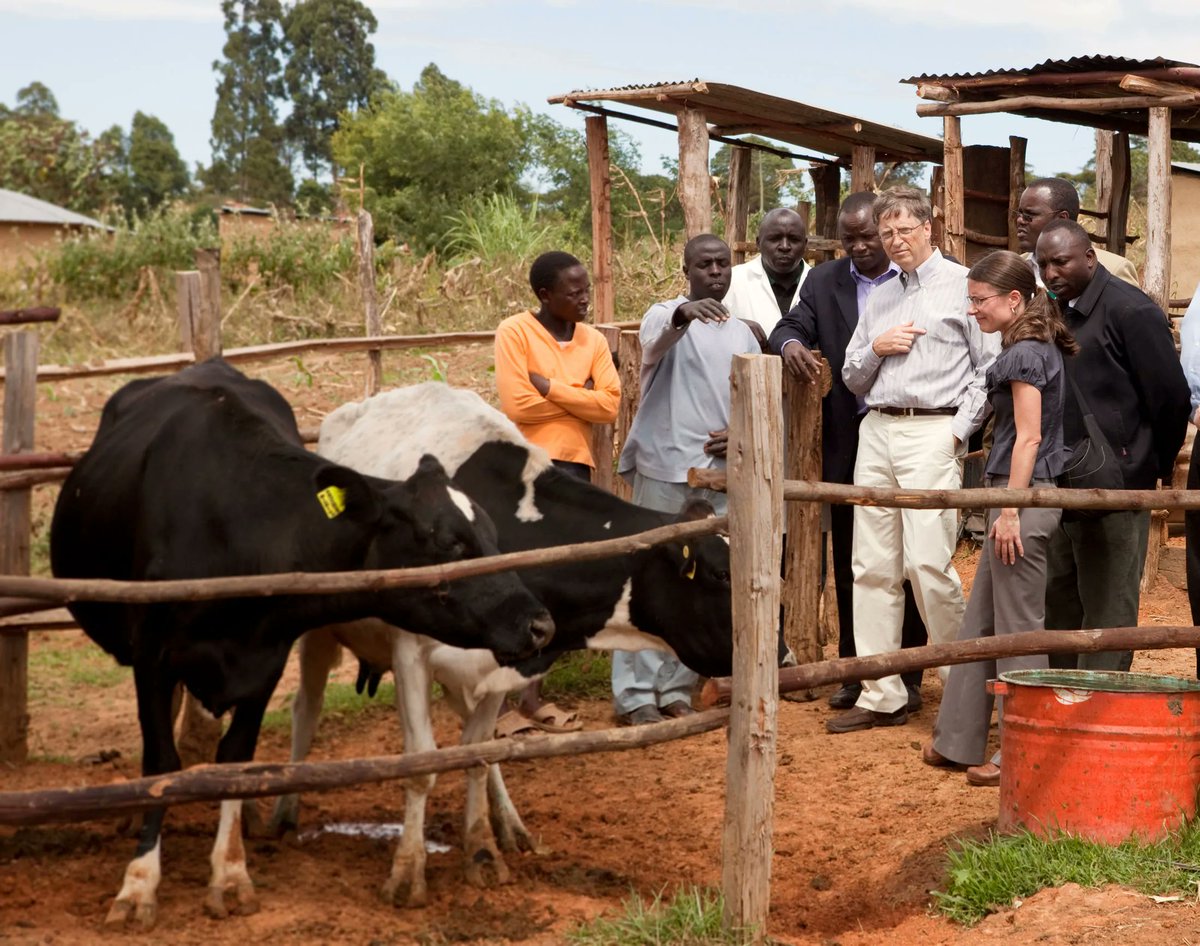 Sama Hoole tweet media