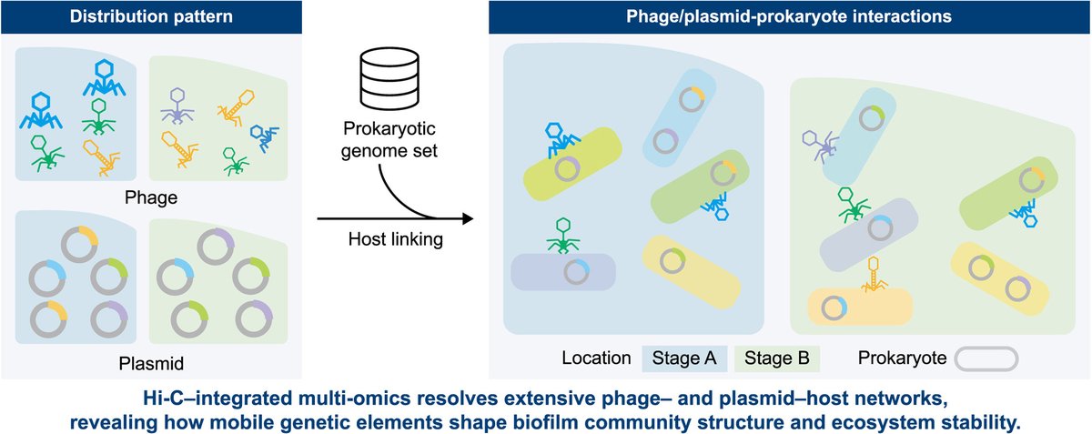 Environmental Science and Ecotechnology tweet media