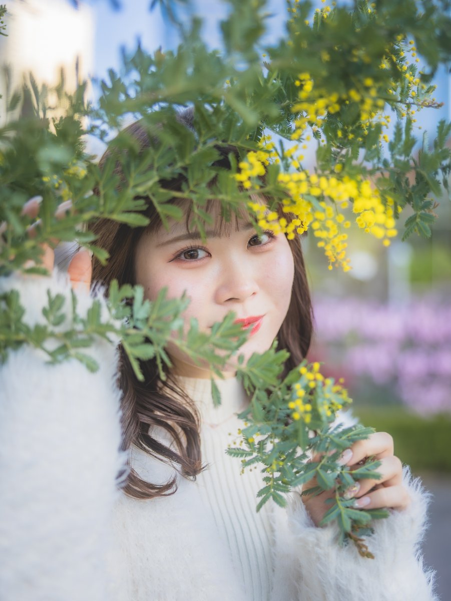 Simm98765's tweet photo. きいろの向こう。

#ミモザの日 #国際女性デー
@10270910__ https://t.co/1rFvmy9uHi