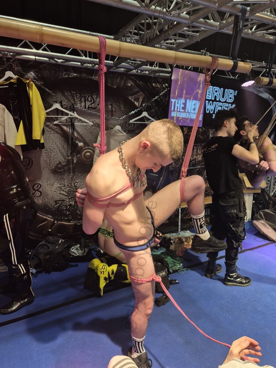 GabberMaster's Property tweet media