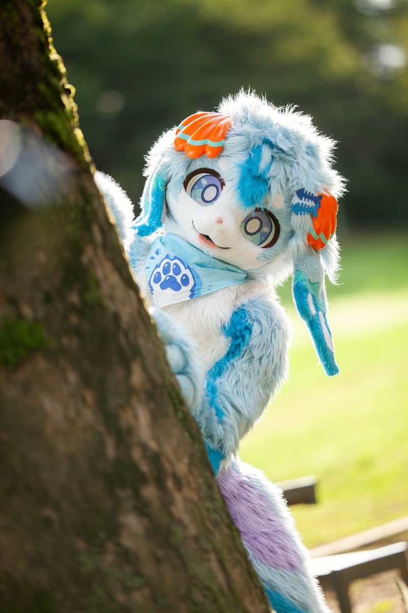 첨벙이 Splash 🦈 tweet media