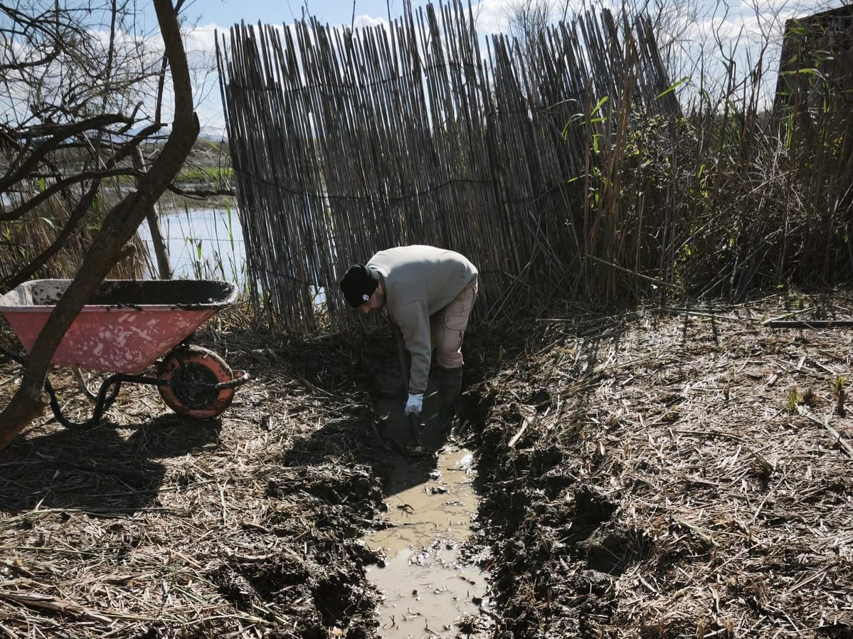 Conselleria d'Agricultura, Pesca i Medi Natural tweet media