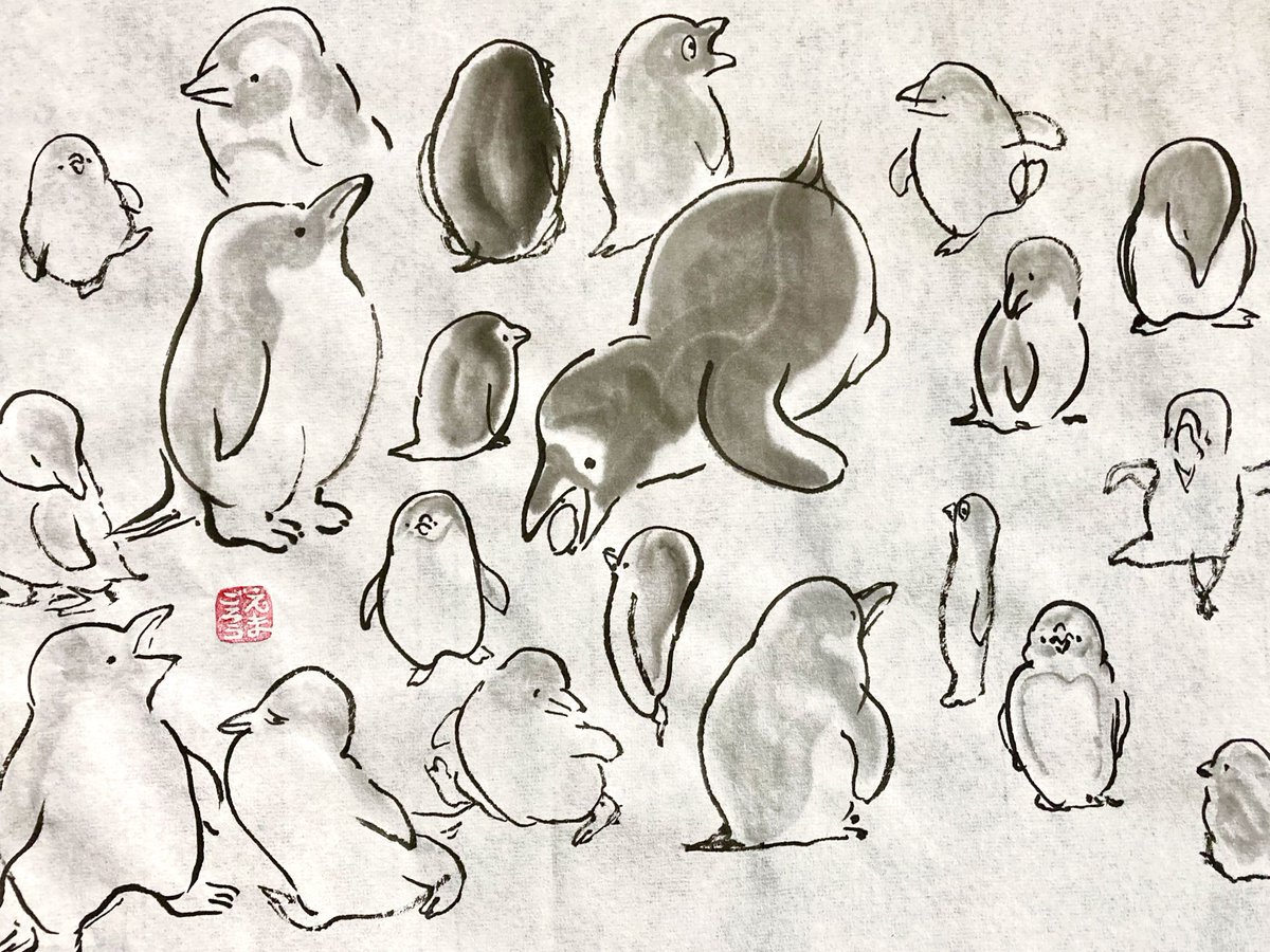 えまごろう🐧 tweet media