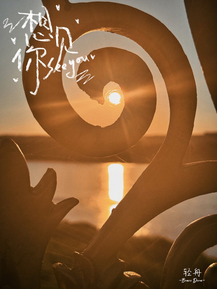 ellyn stein tweet media