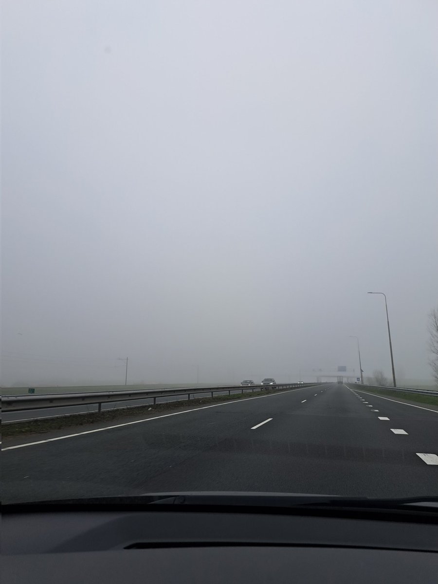 Blackbird ('Drs') tweet media