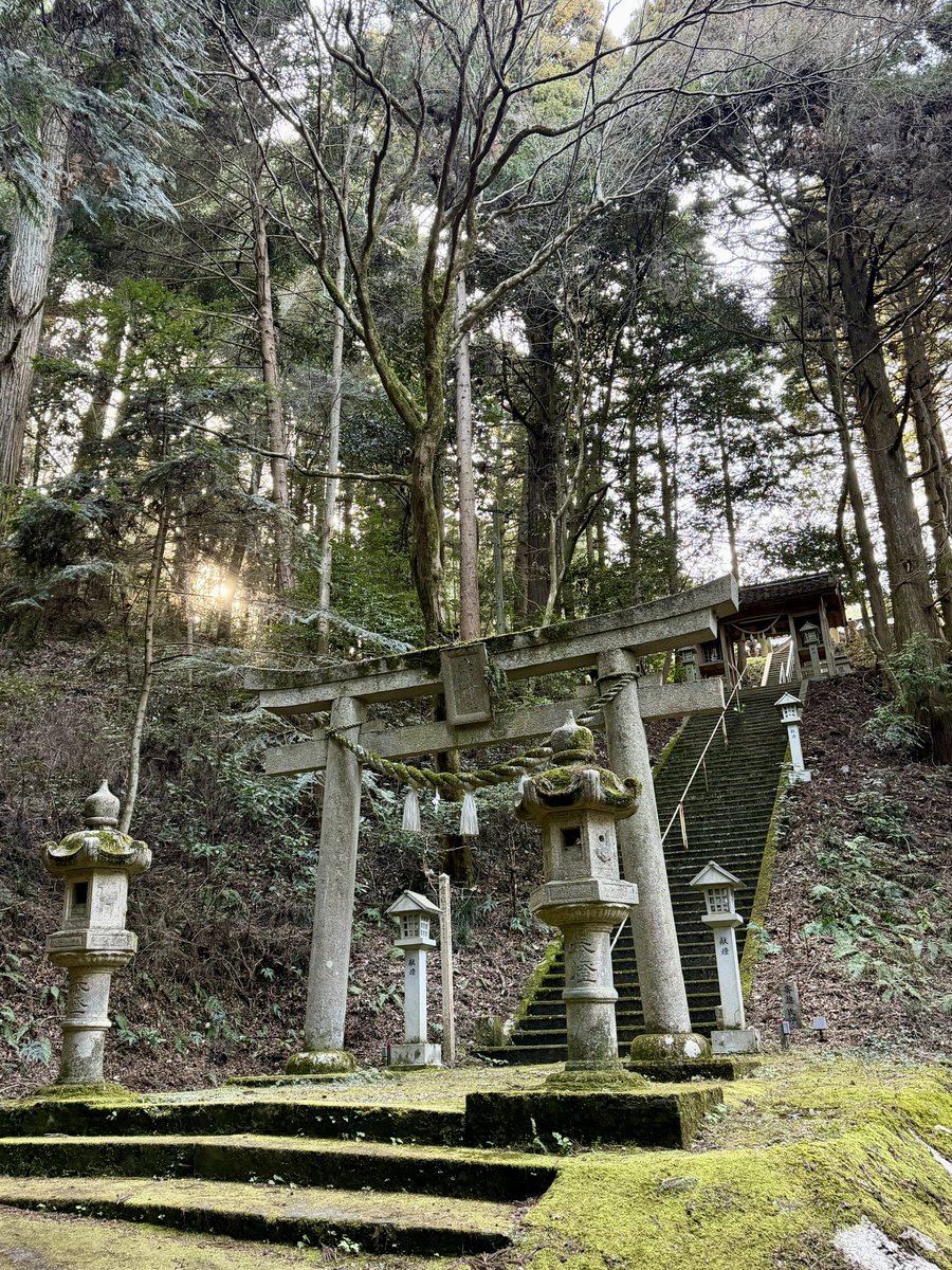 COS-LOG【公式アカウント】コスログ tweet media