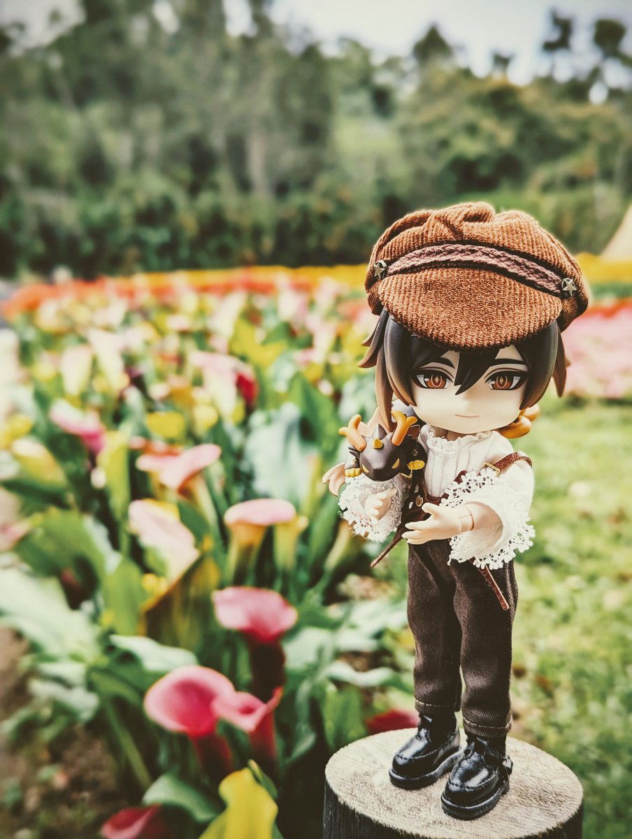 casiarion tweet media