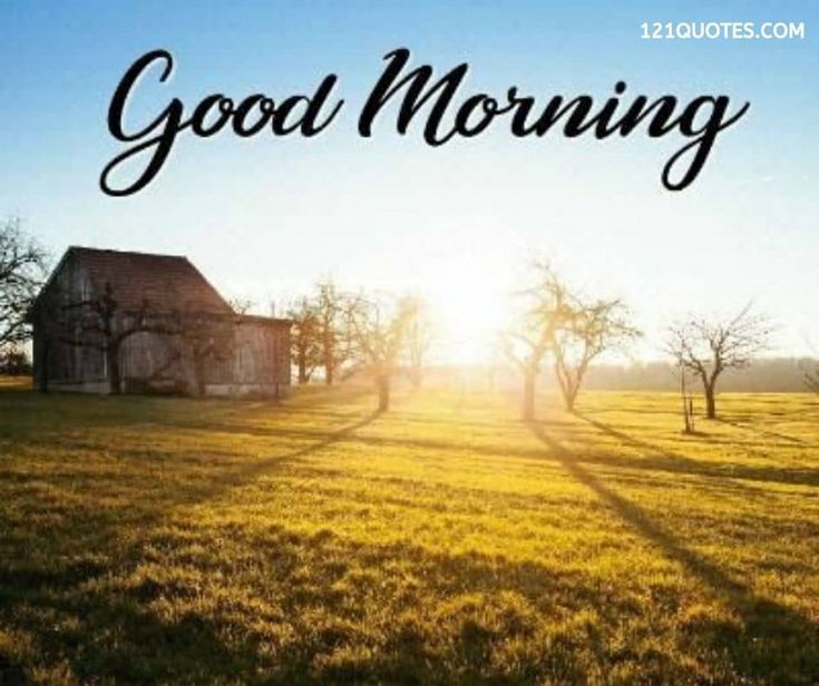 DrStevesob🇺🇸 tweet media