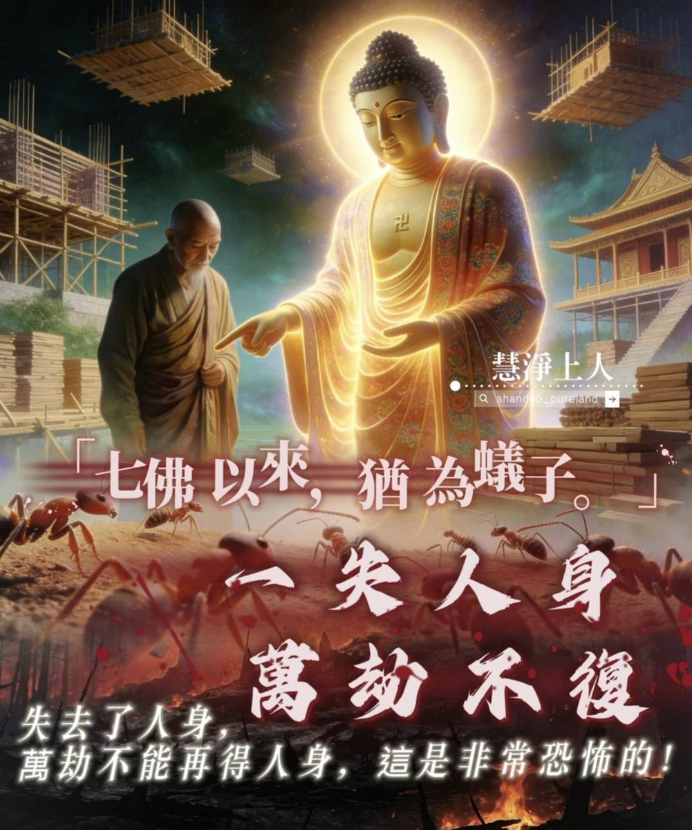 Wutaigo's tweet photo. 有一次，*释迦牟尼佛*看到地上一群蚂蚁，就对弟子 *阿难*说：这些蚂蚁已经经历过七位佛陀在世的时代，但直到今天，它们仍然还在做蚂蚁。
这句话的重点不在“蚂蚁”，而在“经历七佛仍未觉悟”。
佛陀的意思是：即使在漫长的时间里，世界上出现过很多佛、很多觉悟者，但如果一个生命 没有觉醒的念头，也不愿意寻找解脱的方法，那么它就会一直在轮回中打转。
佛教把生命的循环称为 六道轮回：
•天道
•阿修罗道
•人道
•畜生道
•饿鬼道
•地狱道
生命会随着自己的行为（业力）在这些状态里不断轮转。
佛经借“蚂蚁”的比喻，其实是在提醒人类：如果一个人一辈子只忙于吃喝、赚钱、娱乐，却从未思考生命的意义，也不思考如何觉醒，那么在佛教看来，这种状态和蚂蚁其实没有本质差别。关键不是身份，而是觉悟的心。
佛教里把这种心叫：“出离心”，意思是意识到生死轮回的苦，希望找到超越轮回的方法。如果没有这个念头，生命就只能随着业力不断流转。

泰国朱拉大学的老吴教授(和我同姓)他说：很多人读到这里只是觉得是个故事。但我每次读到��会感慨地想到身边很多人。每天忙着赚钱、吃饭、娱乐、刷手机、抱怨生活。
但他们从来没有一刻认真想过一个问题，人这一生，到底是为了什么？
他们不知道什么是六道轮回，也不相信有生死轮回，更不会去想什么叫“出离”。从佛法的角度看：如果一生都没有觉醒的念头，只是被欲望和业力推着走，那和地上的蚂蚁其实没有本质区别。不是身份的差别，而是是否醒着的差别。
阿弥陀佛 🙏
