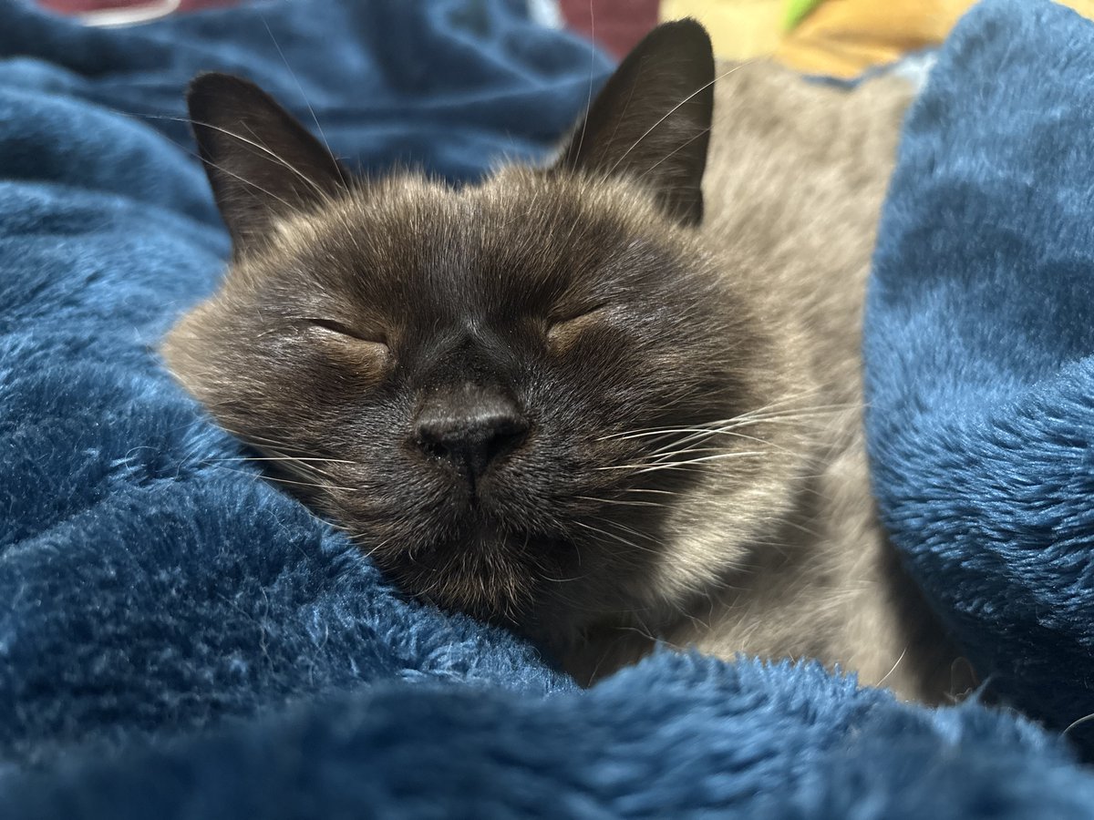 𝑪𝒉𝒍𝒐𝒆 tweet media