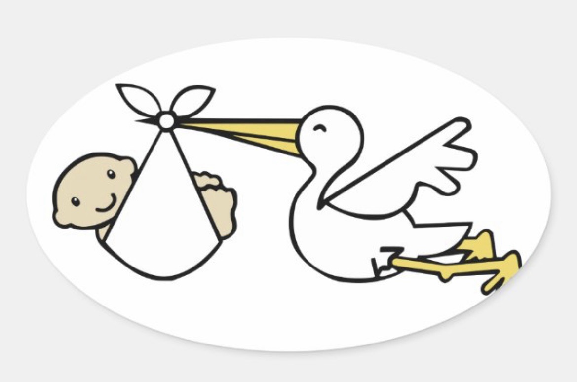 WRN Scotland tweet media