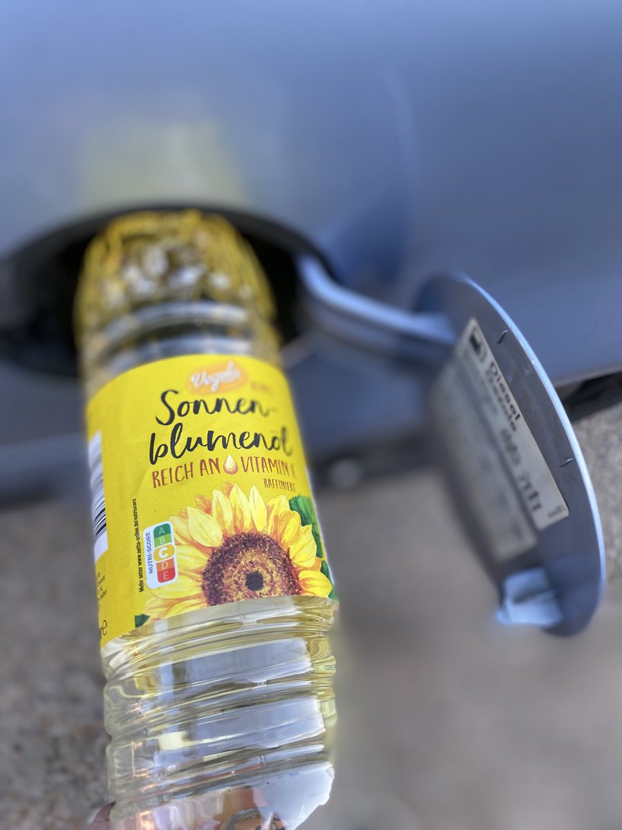 Drybush Heapwood tweet media