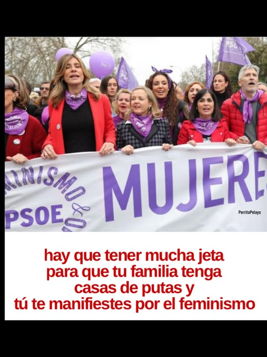 PEPE, en Español (@pepeluspain) on Twitter photo 