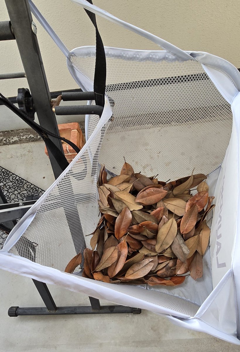 ぺSHIDA tweet media