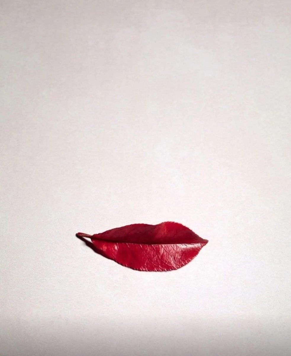 ᗩᑎᗩ ᗪ'ᗩᑭᑌᘔᘔO tweet media