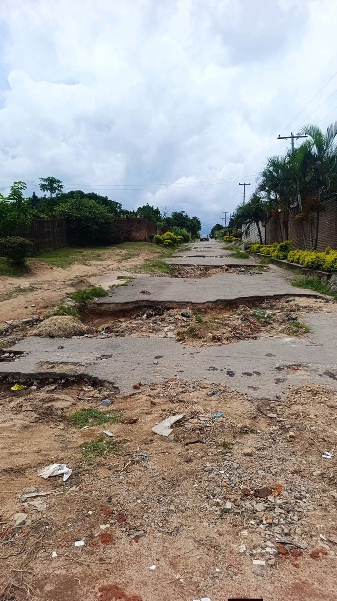 Onjezani Kenani tweet media