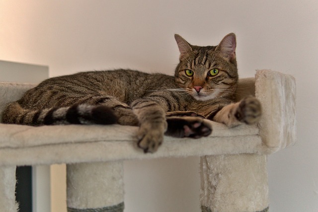 John Ferguson tweet media