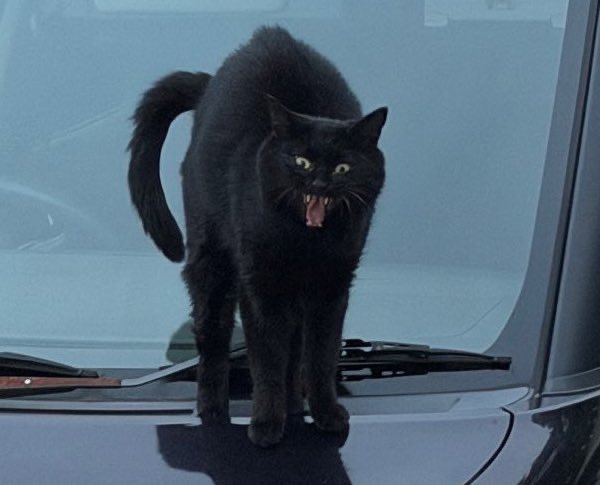 じんじん tweet media