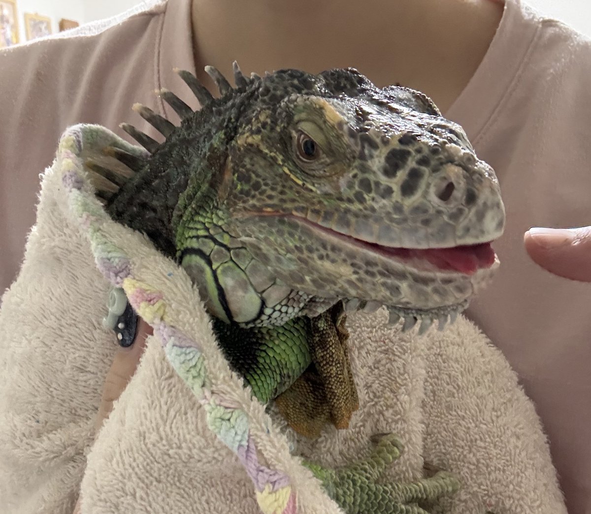 Yu ゆう🍥 tweet media