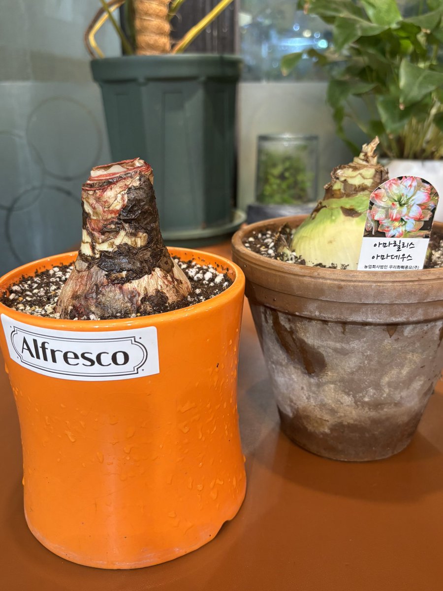 불만많은 애 tweet media