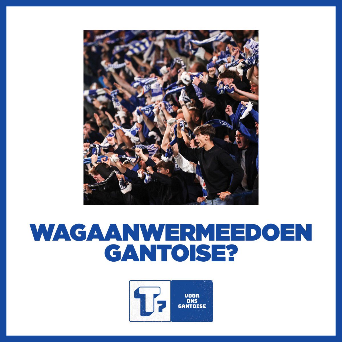 TRIBUNE7 tweet media