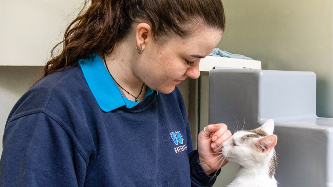 Battersea tweet media