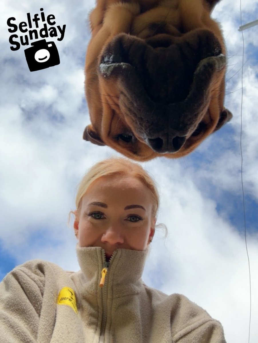 Hank and his bestie Aga are putting a fun twist on #SelfieSunday this week! 📸💛 

#Rehome #RescueDog #Adopt