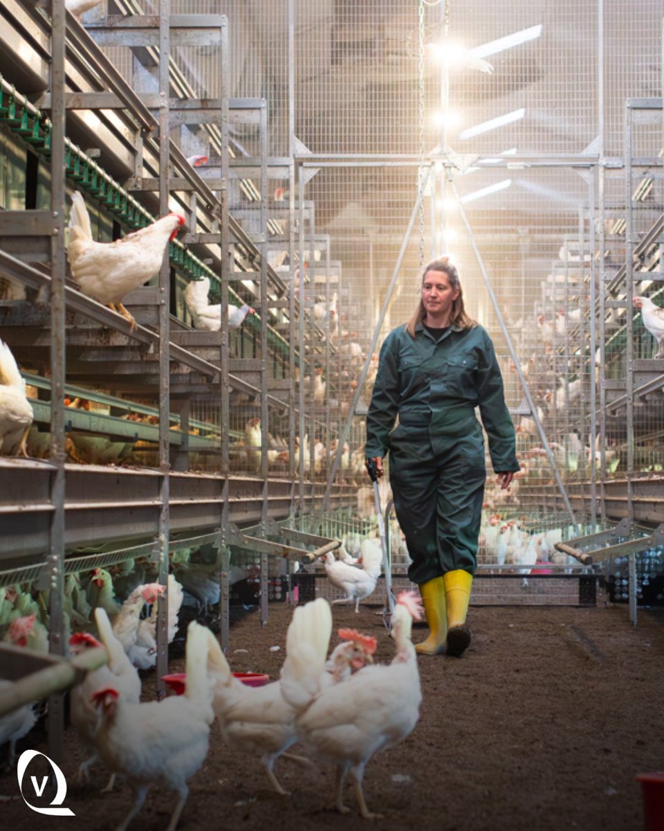 Vencomatic UK tweet media