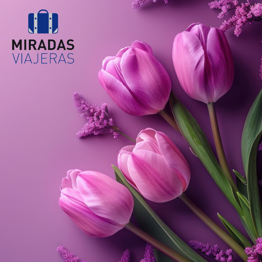 Miradas Viajeras tweet media