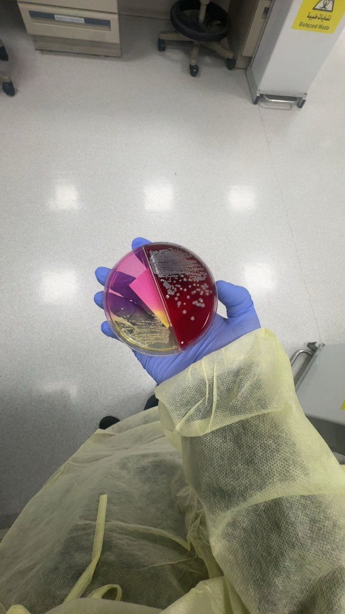 ‎نُ ✍🏻 tweet media