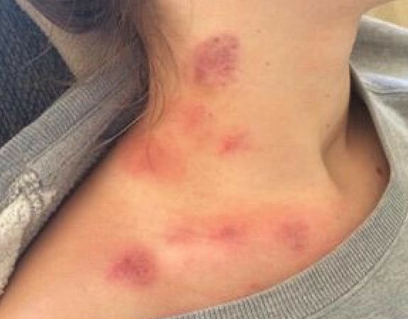 Brunoh🧃 tweet media