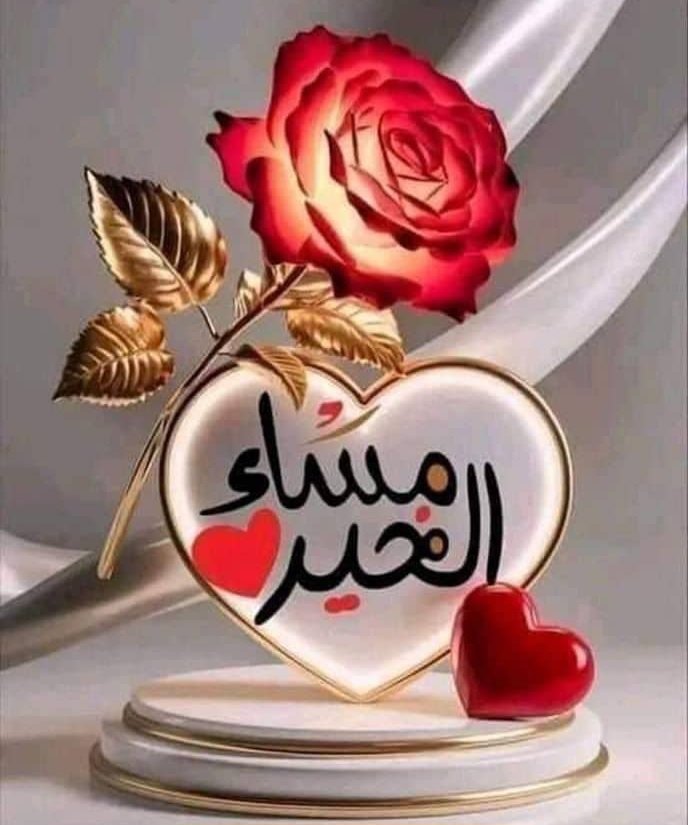 💙جود💙 tweet media