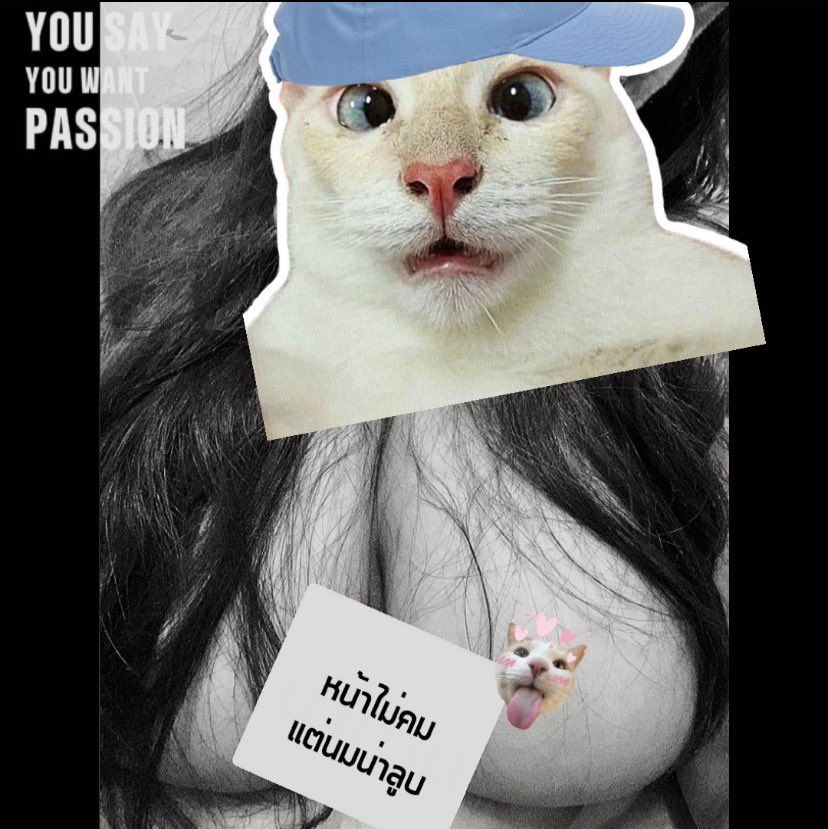 Pxnnn tweet media