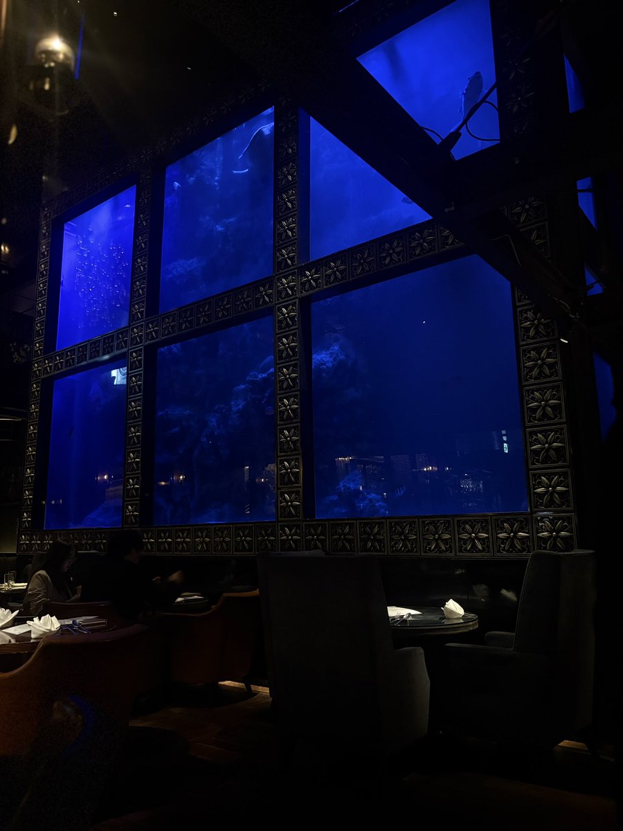 lby5m's tweet photo. 𝑨𝑸𝑼𝑨 𝑹𝑬𝑺𝑻𝑨𝑼𝑹𝑨𝑵𝑻 ＆ 𝑩𝑨𝑹 𝑳𝑼𝑿𝑰𝑺 🌊🍴 https://t.co/xxImRSVHT8