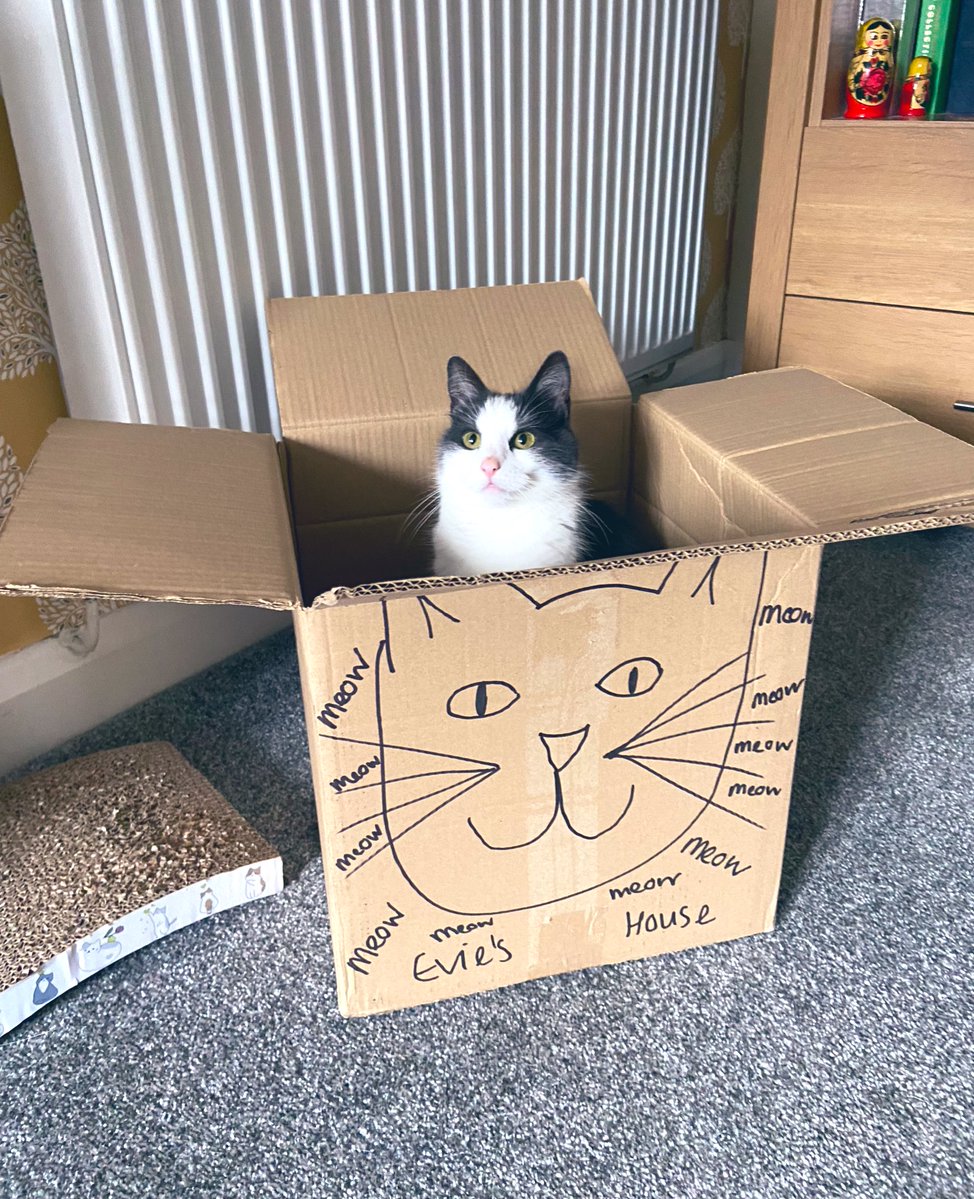 Freddie & Evie 🖤🩶🤍 tweet media