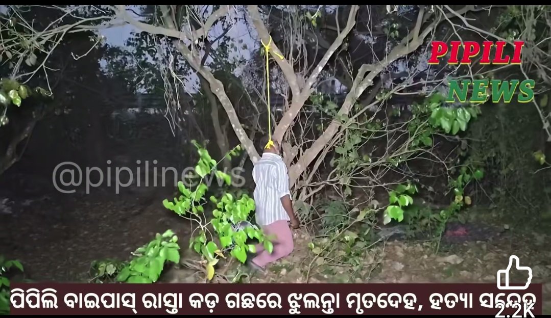 Ѕℛℐ ℕᎯᎽᎯᏦ tweet media