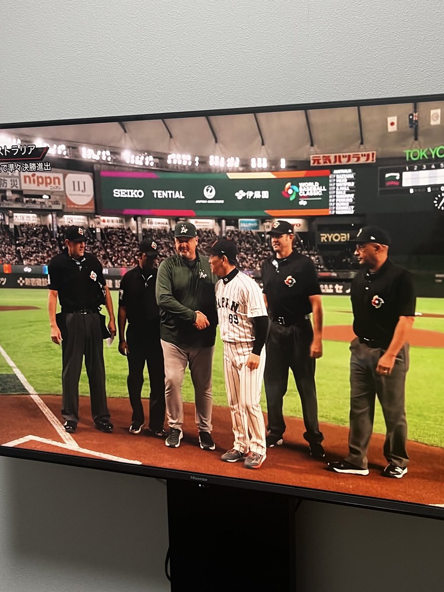 井端とディンゴ