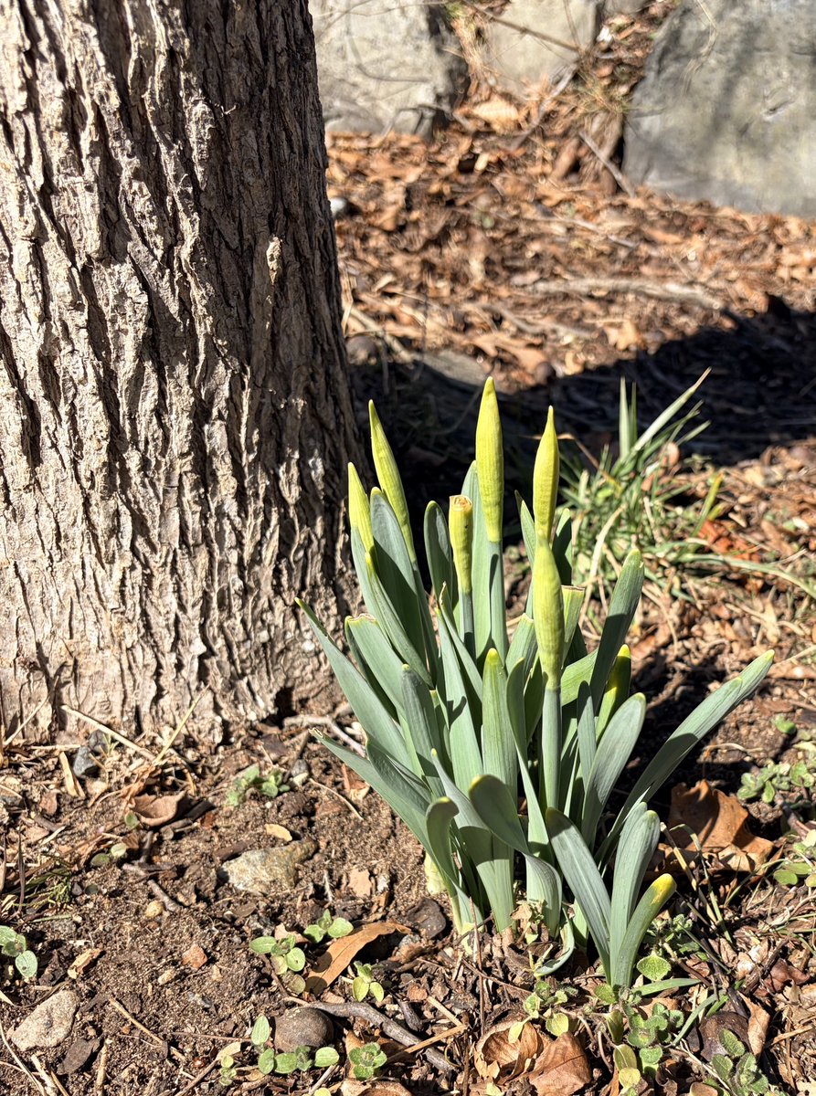 Coach Gore tweet media