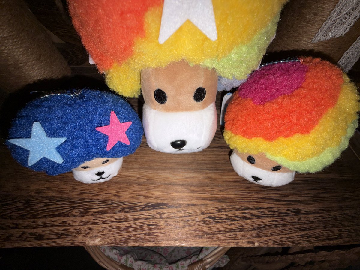 고구마 tweet media