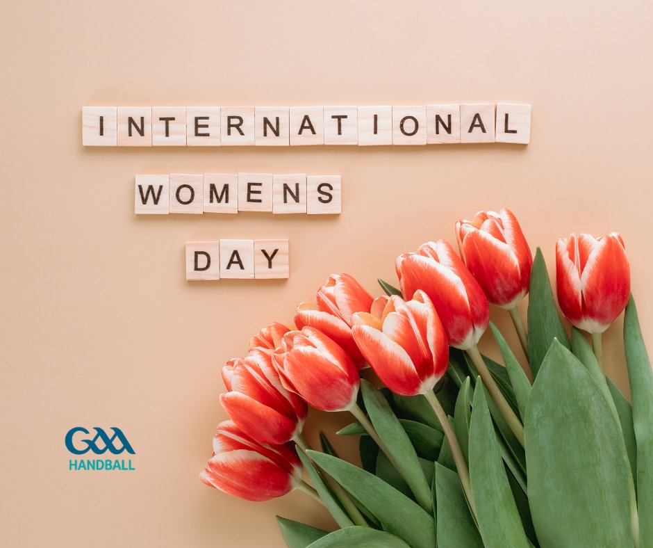 GAA Handball Ireland tweet media