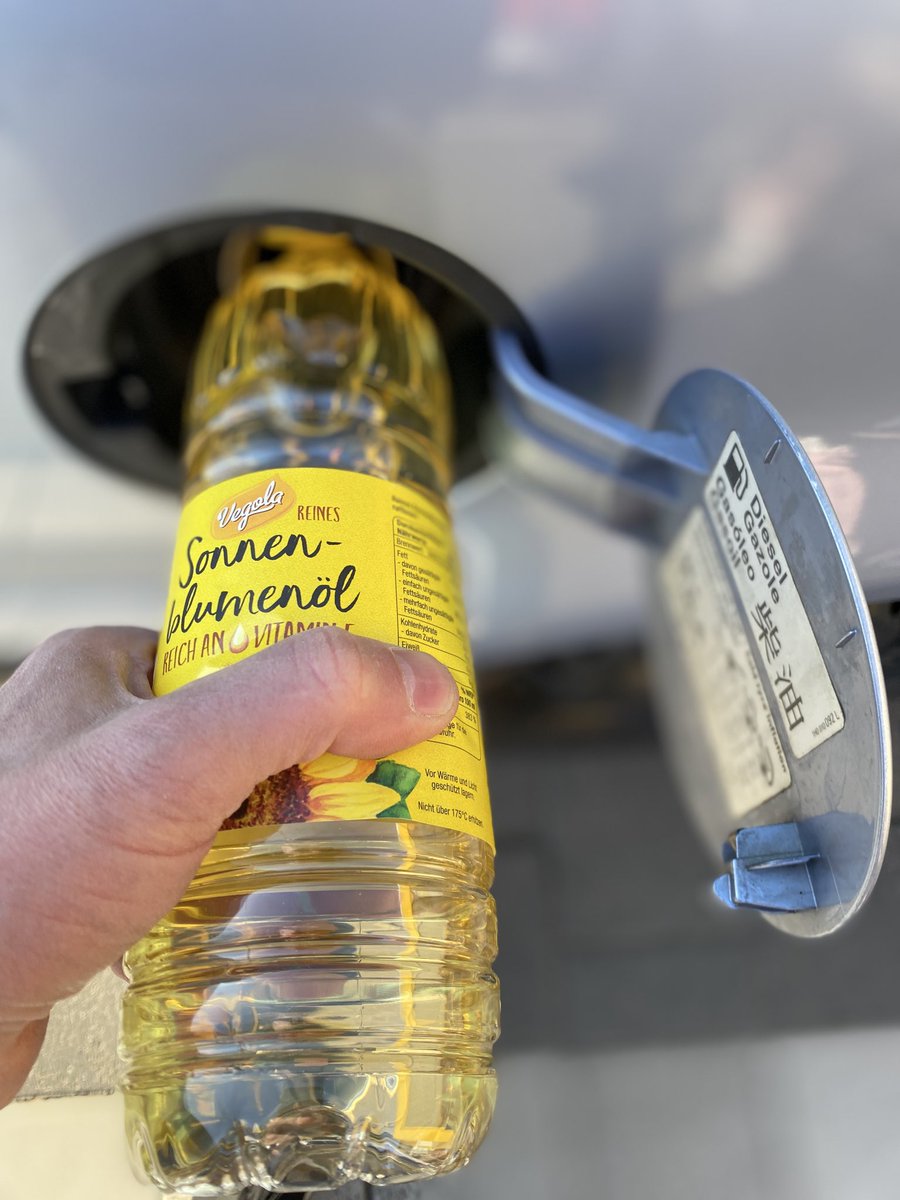 Drybush Heapwood tweet media