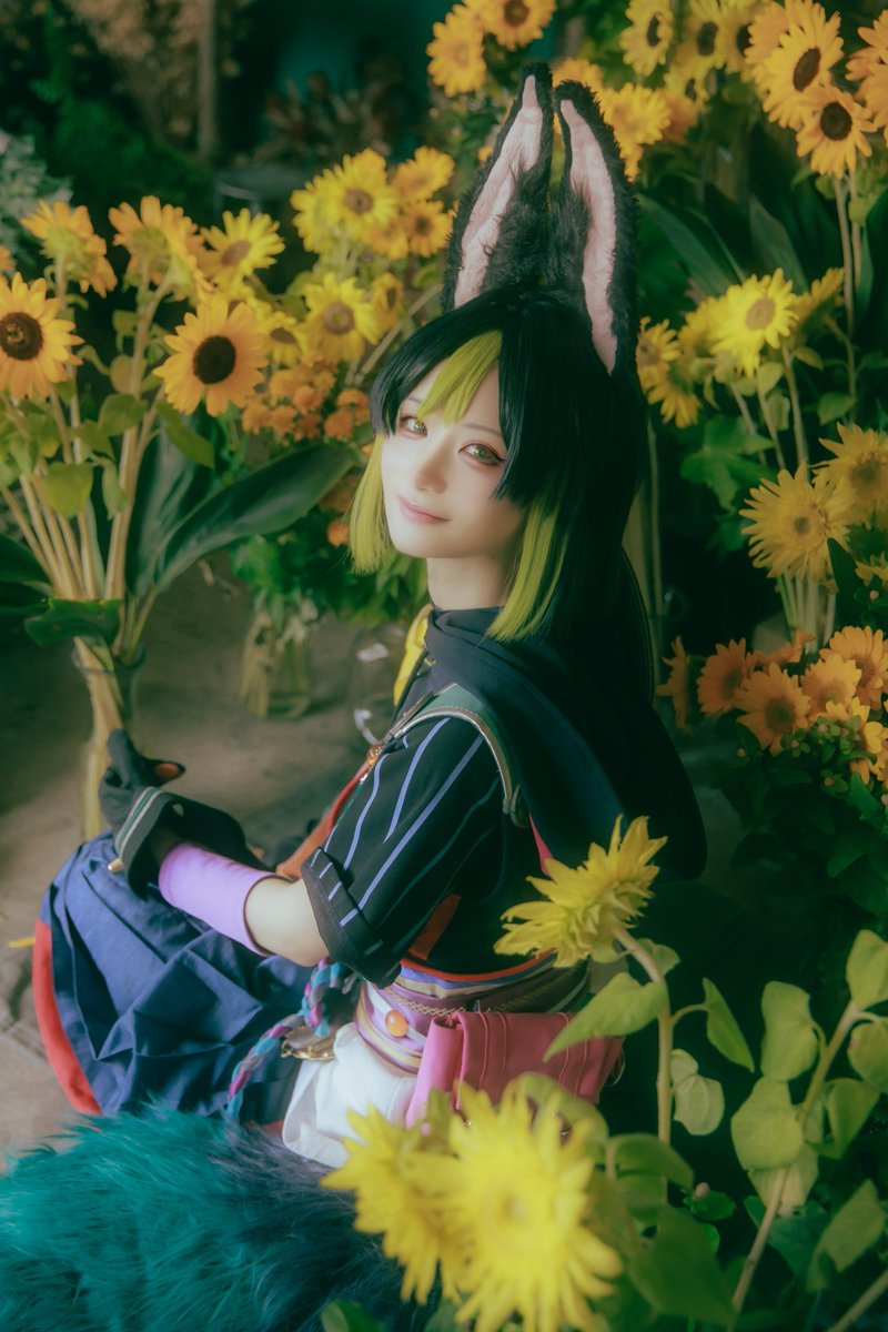 だいふく🦭 tweet media