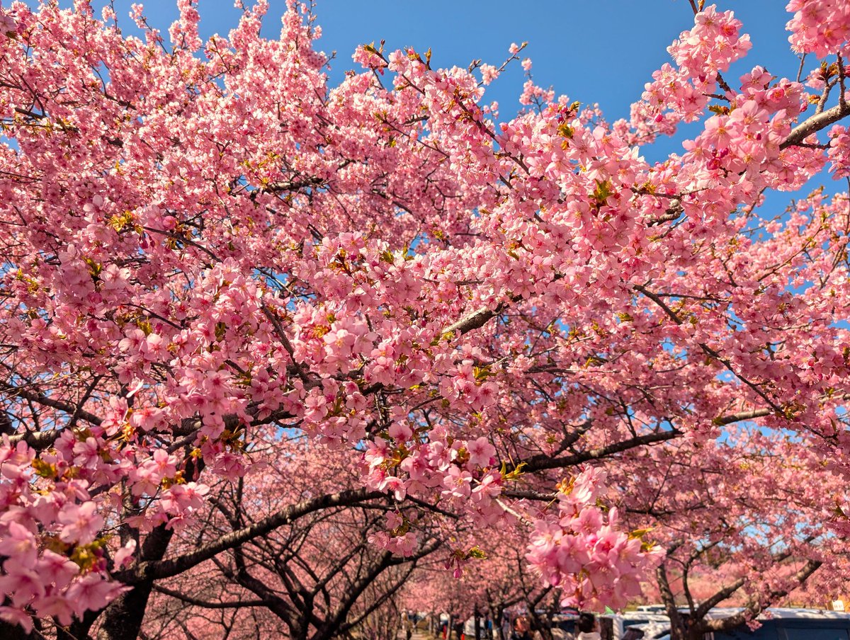 ﾄﾞﾗｲﾌﾞ400 tweet media