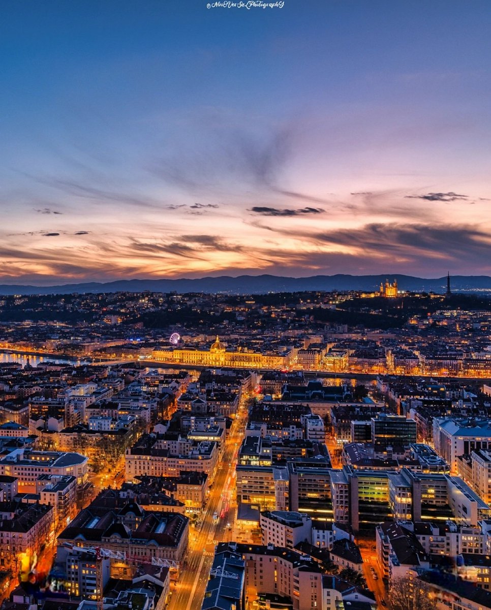 Ninoversalphotography tweet media