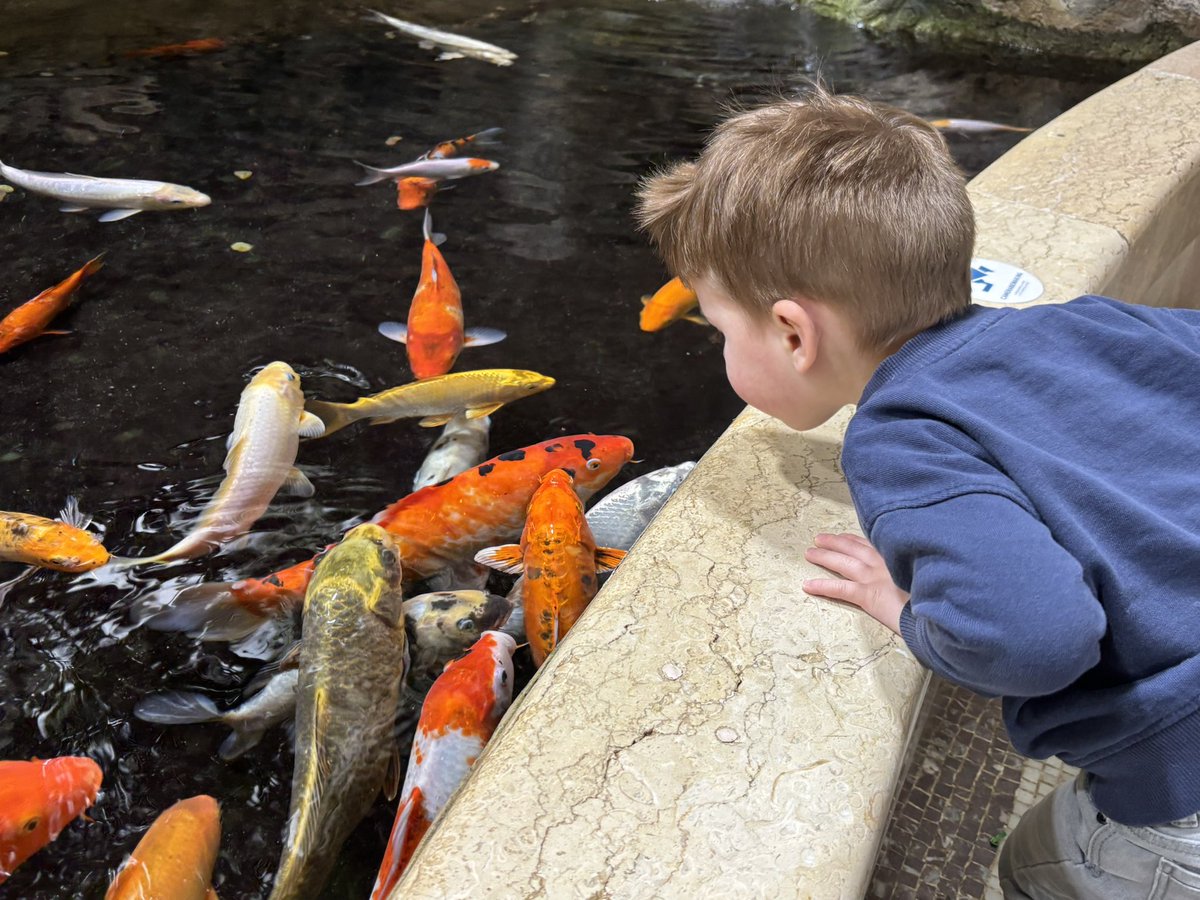 Troy Lambrecht tweet media