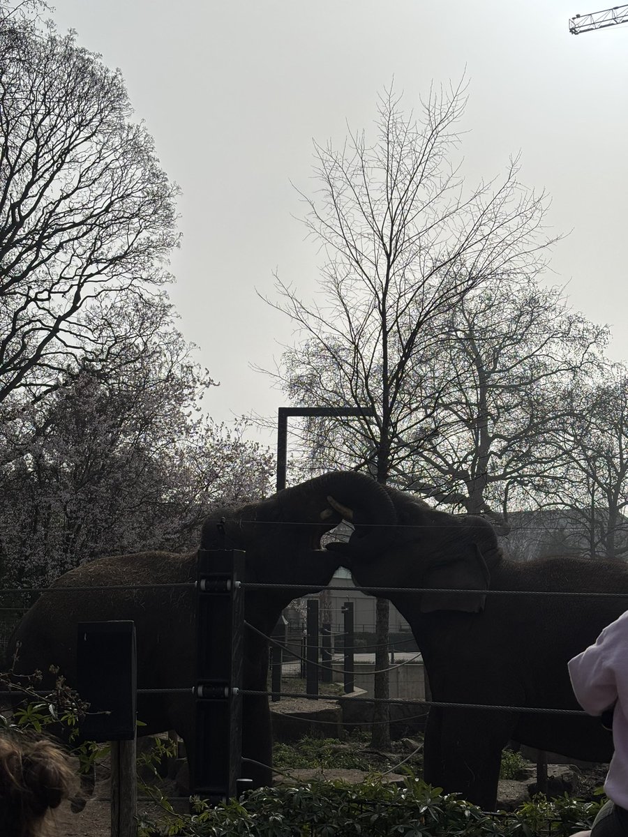 Troy Lambrecht tweet media