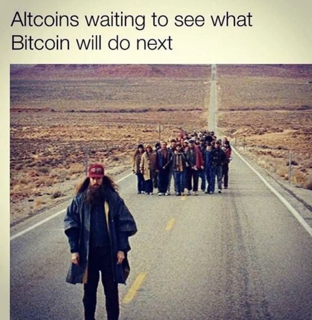 LSD tweet media