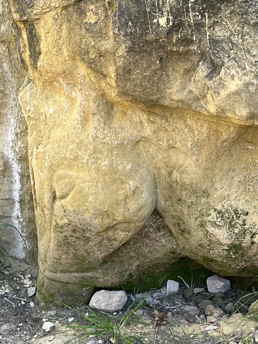 En un lugar de la Huerta tweet media