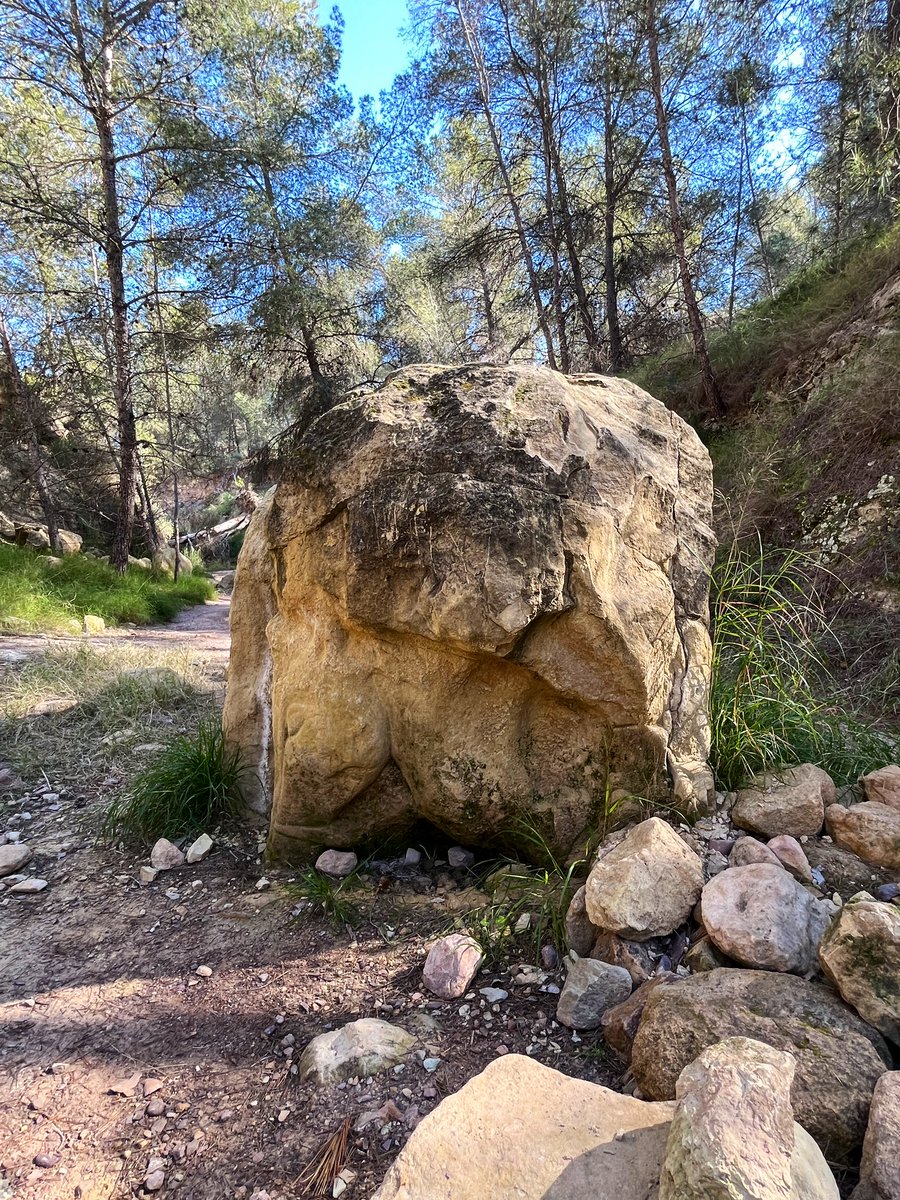 En un lugar de la Huerta tweet media